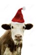 A NATALE SENZA SOLDI